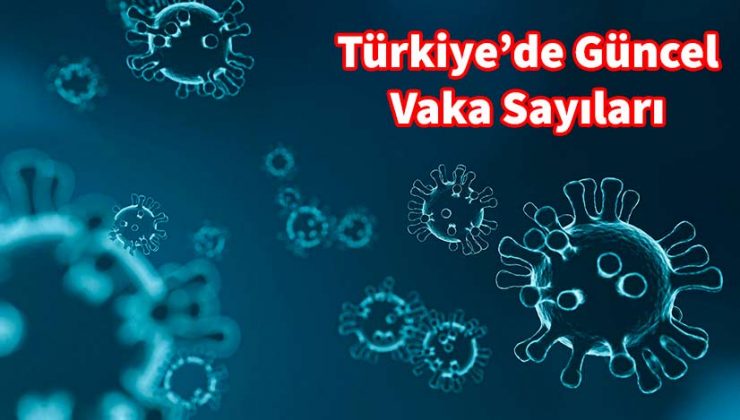 İllere Göre Haftalık Vaka Sayısı 100 binde 13 – 19 Mart