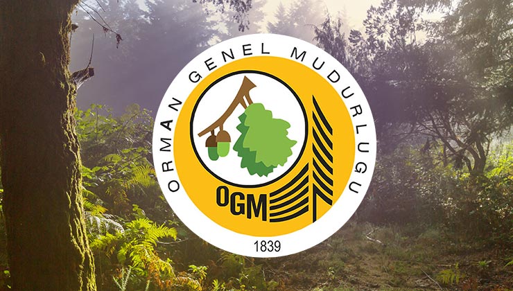 Orman Genel Müdürlüğü 1613 Yeni Personel Alımı 1 Orman Genel Müdürlüğü 1613 Yeni Personel Alımı