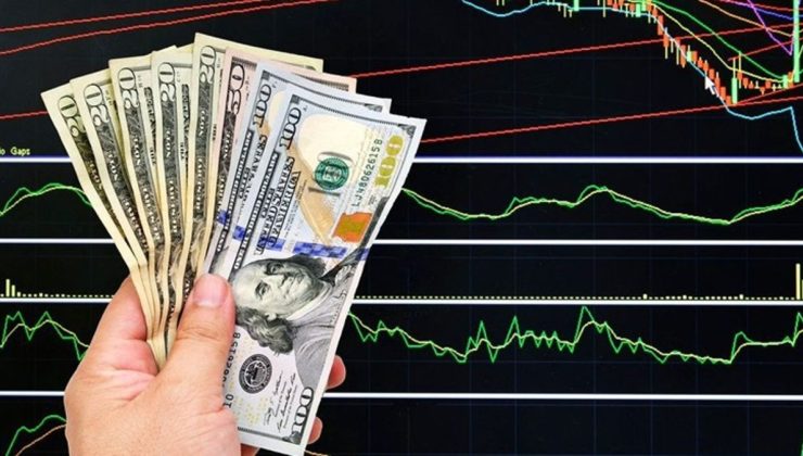 Dolar 30 ₺’yi Aşarak Yeni Rekor Kırdı