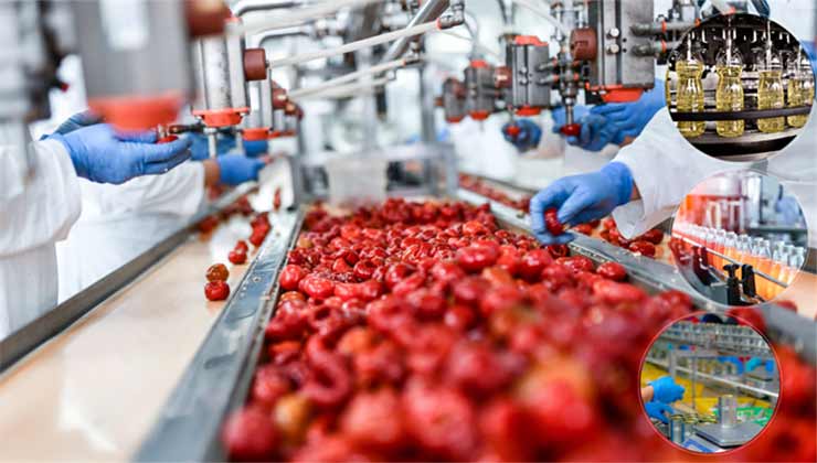 IPARD III Kapsamında Kırsal Kalkınmaya 527 Milyon TL Destek