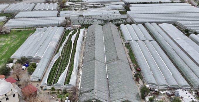 Antalya sel ve hortum sonrası üreticiler için hasar tespitleri sürüyor