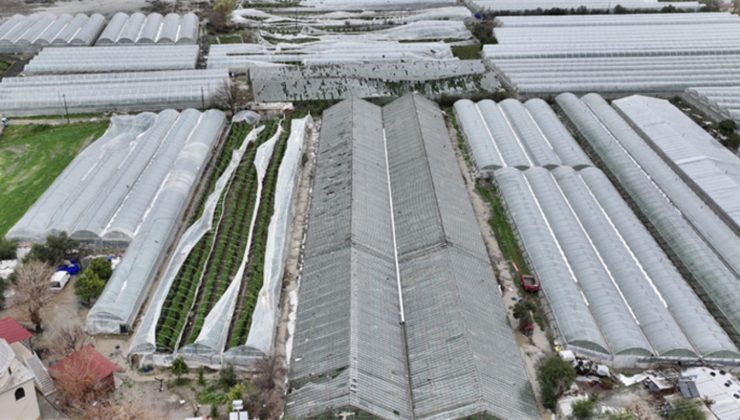 Antalya sel ve hortum sonrası üreticiler için hasar tespitleri sürüyor 1 Antalya sel ve hortum sonrası üreticiler için hasar tespitleri sürüyor